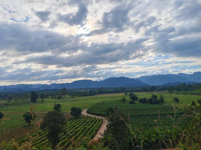 ขายที่ดิน 6 ไร่ ติดลำธาร ต.หินดาด อ.ทองผาภูมิ จ.กาญจนบุรี