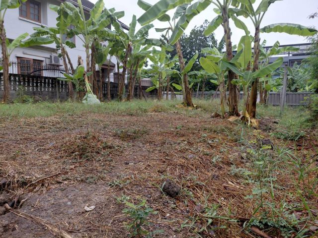 ที่ดิน 51 ตร.ว. (ถมแล้ว) เขตทวีวัฒนา กรุงเทพฯ