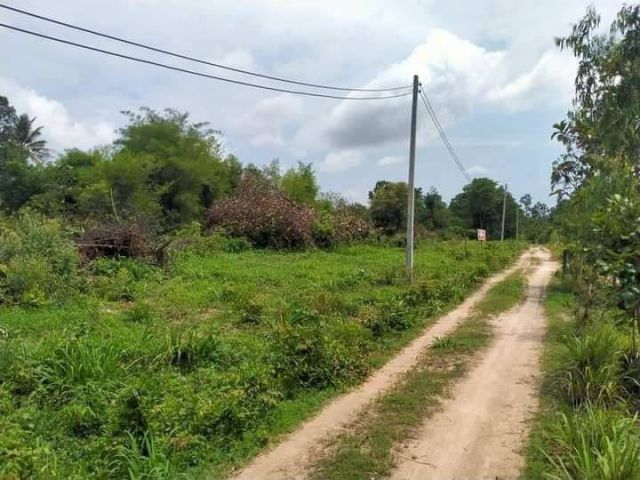 L583 ขายที่ดิน 115 ตรว เมืองอำนาจเจริญ