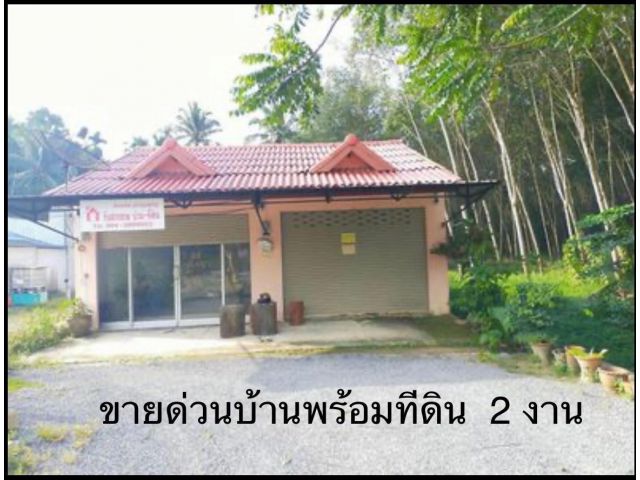 ขายบ้านพร้อมที่ดิน 200 ตรว.ใกล้สถานที่ราชการ อำเภอ นบพิตำ