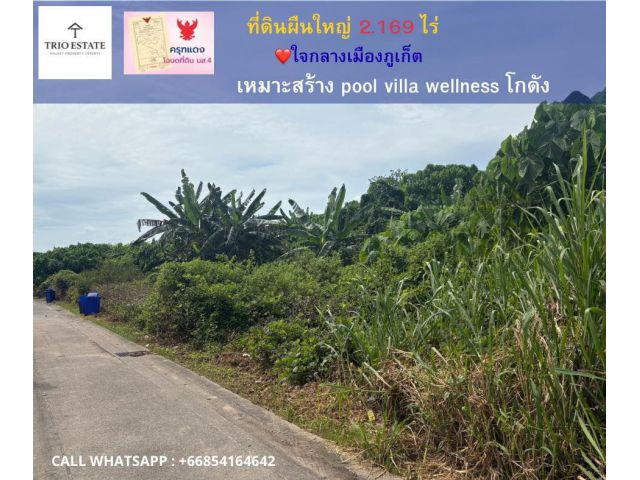 ที่ดินสวย 2 ไร่กว่า อำเภอวิชิต เมืองภูเก็ต