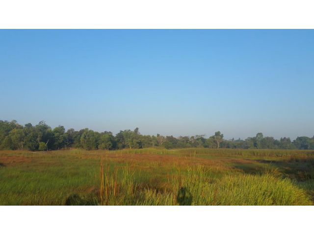 ขายที่ดิน ใกล้ม.มหาสารคาม