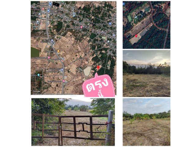 ขายที่ดิน โฉนด นส4จ 3ไร่2งาน80ตารางวา 080-591-7975 บ้านเมืองสรวงใหญ่ อ.เมืองสรวง ต. เมืองสรวง จ.ร้อยเอ็ด