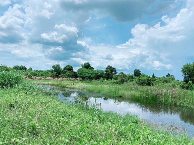 L626 ขายที่ดิน 10 ไร่ หน้ากว้าง 141 เมตร ใกล้วัดเกาะจันทร์ ชลบุรี