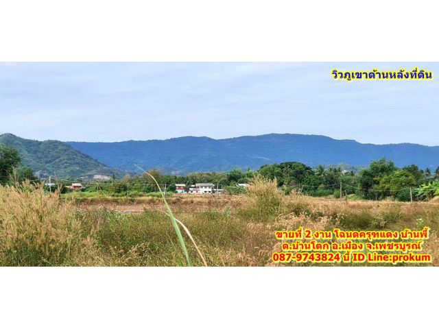 ขายที่ 2 งาน บ้านพี้