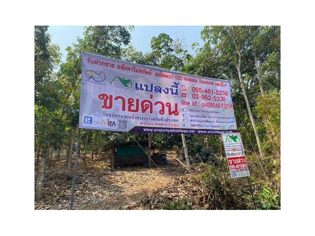 ขายที่ดินสวนยาง ขนาด 40-1-39 ไร่ กรีดขายได้แล้ว ทำเลดี วิวแม่น้ำโขง - จังหวัดหนองคาย