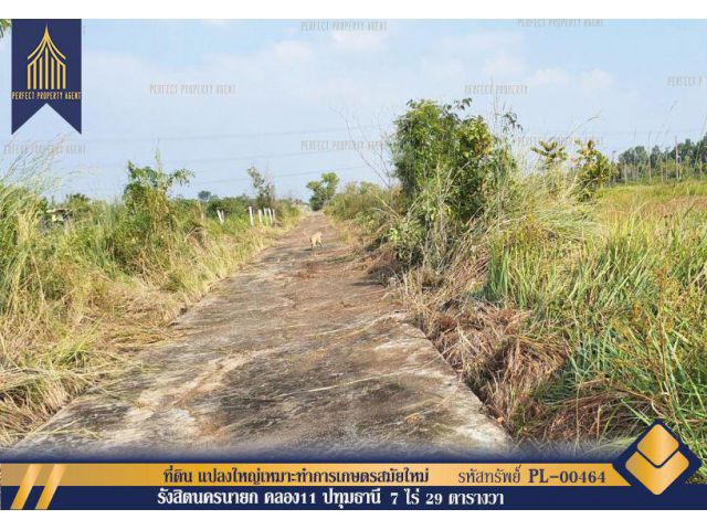 ขาย ที่ดิน รังสิตนครนายก คลอง11 ปทุมธานี แปลงใหญ่เหมาะทำการเกษตรสมัยใหม่ใกล้กรุงเทพเดินทางสะดวกสบาย