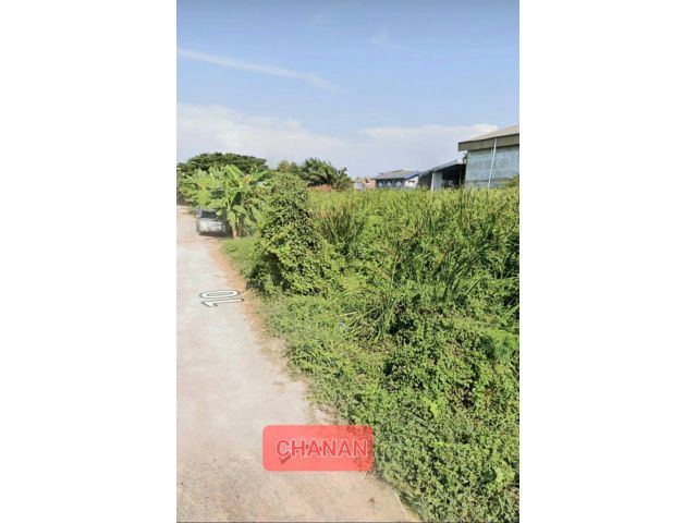 ขายที่ดิน ถ.พระราม2 ถ.บางกระดี่ ซ.10เนื้อที่200ตรว