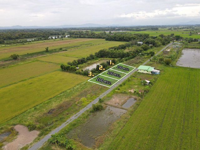 ที่ดินเงินผ่อน-สดเงินผ่อน 100 ตรว. 380,000 บาท นครนายก