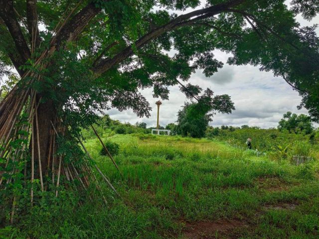 L646 ขายที่ดิน 2 ไร่ เมืองเพชรบูรณ์