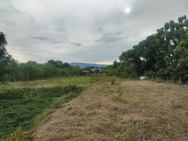 L647 ขายที่ดิน 2 ไร่ เมืองเพชรบูรณ์