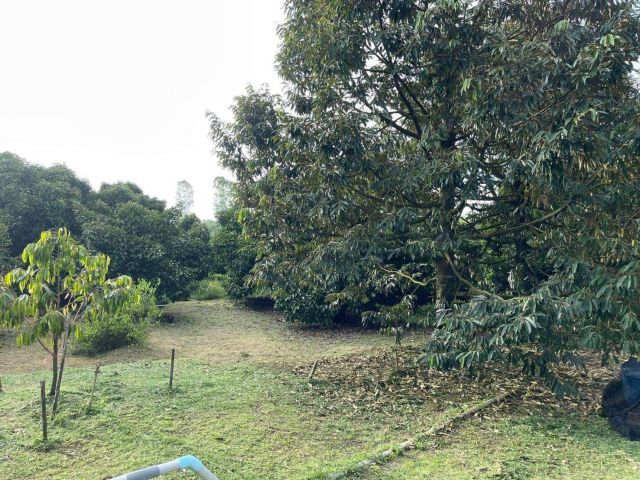 L660 ขายที่ดินวิวภูเขา 10 ไร่ เมืองจันทบุรี