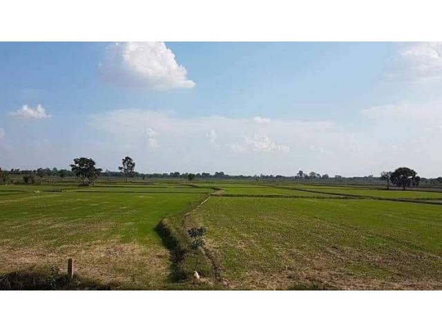L663 ขายที่ดิน 21 ไร่ หน้ากว้าง 110 เมตร ใกล้ตัวอำเภอเลาขวัญ กาญจนบุรี