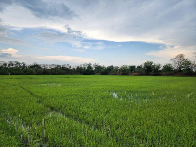 L667 ขายที่นาวิวภูเขา 5 ไร่ เกาะพลับพลา เมืองราชบุรี