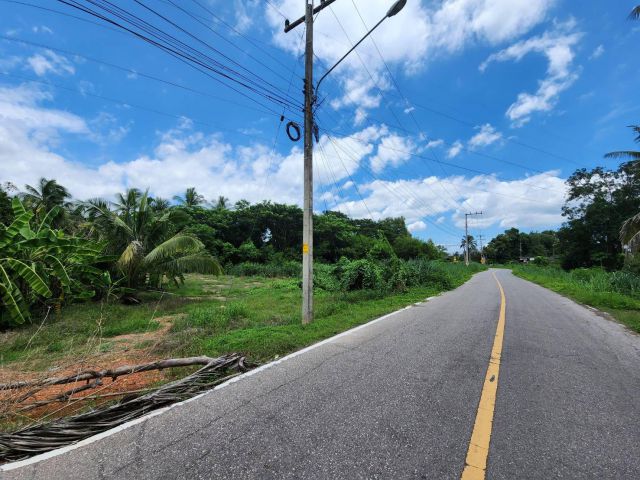 L683 ขายที่ดิน 327 ตรว หน้ากว้าง 115 เมตร เมืองราชบุรี