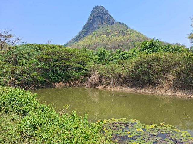 ถูกไม่น่าเชื่อ!! ที่ดินสวย โฉนด 6 ไร่เชียงคานติดถนนลาดยาง เพียงไร่ละ 220,000 มาก่อนคว้าก่อน