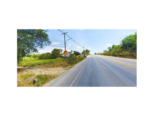 ขายที่ดิน 24 ไร่ ติดถนนลาดยาง ผังสีม่วงลาย ใกล้ BYD ต.พนานิคม อ.นิคมพัฒนา จ.ระยอง