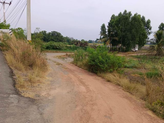 ขายที่ดิน 26 ไร่ บ้านไผ่ดำ ต.ศาลาแดง อ.บางน้ำเปรี้ยว จ.ฉะเชิงเทรา