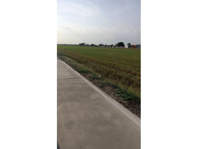 ขายที่ดิน 19 ไร่ คลองเก้า ต.ลำลูกกา อ.ลำลูกกา จ.ปทุมธานี