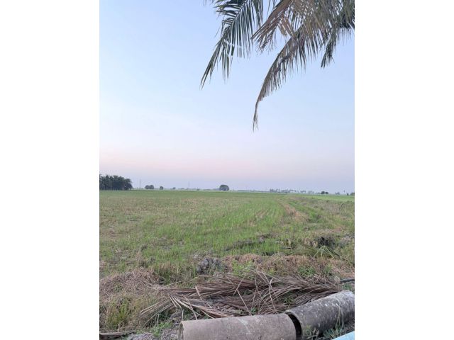 ขาย