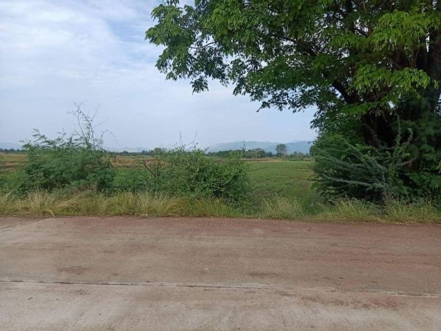 L744 ขายที่ดิน 10 ไร่ เมืองเพชรบูรณ์
