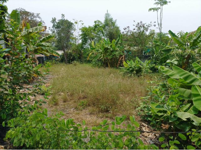 ขายที่ดิน 113ตร.ว. ต.สง่าบ้าน อ.ดอยสะเก็ด จ.เชียงใหม่
