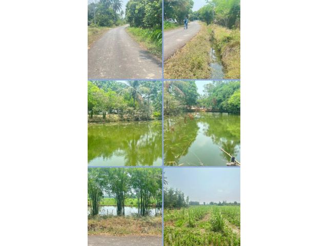 ที่ดินติดถนนติดคลอง
