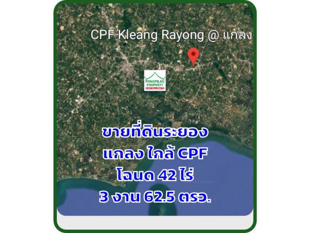ขายที่ดินระยอง แกลง 42 ไร่ 3 งาน 62.5 ตรว.ใกล้ CPF ไร่ 1.75 ล้าน