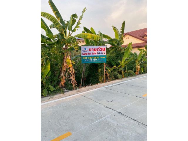 ขายที่ดิน 96 ตร.วา ทำเลบางบัวทอง ใกล้ ตลาดสมบัติบุรี