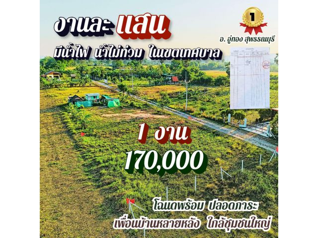170,000 ฟรีโอน️ที่อู่ทองสุพรรณ 1 งาน มีน้ำไฟ ในเขตเทศบาล ใกล้ กทม. ปรับราคาลง️รีบด่วน  โฉนดพร้อม ถูกที่สุด