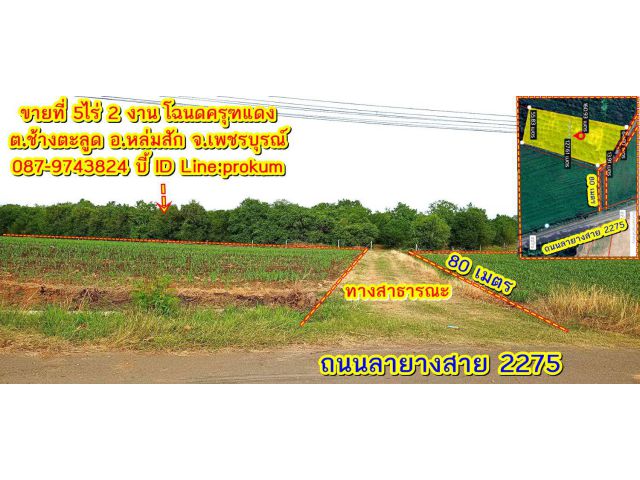 ขายที่ 5ไร่ 2 งานสวนมะขามหวาน