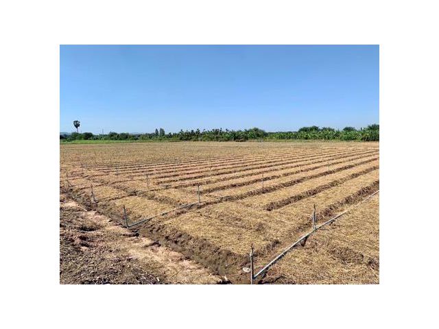 ที่ดินผืนใหญ่ทำเลดี10ไร่ โฉนดครุฑแดงพร้อมโอน ใกล้เทศบาลวังศาลา ท่าม่วง เข้าออกได้หลายทาง ติดถนนสาธารณะ ใกล้ทางด่วนM81 วิวสวย บรรยากาศดี
