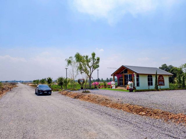 ที่ดินคลอง 8 บึงบอน   1 ไร่ ราคาแค่ 1.45 ล้าน ใกล้กรุงเทพ!