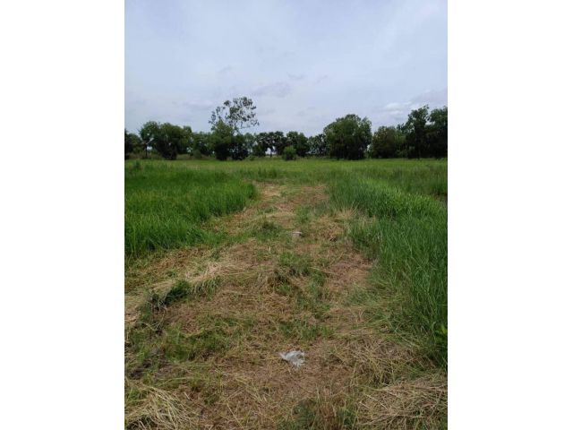 L786 ขายที่นา 350 ตรว ยกแปลง/แบ่งขาย องครักษ์ นครนายก
