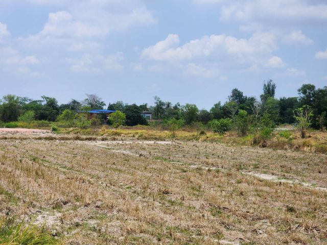 L810 ขายที่ดิน 6 ไร่ หน้ากว้าง 209 เมตร เมืองนครนายก