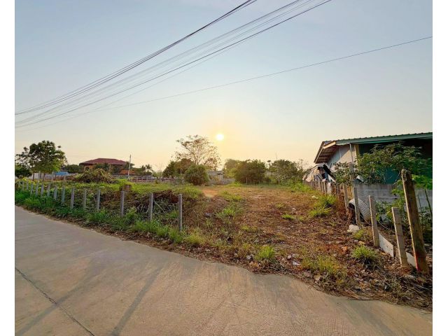 ขายที่ดินโป่ง พัทยา 204 ตรว. ติดถนนคอนกรีต ใกล้อ่างมาบประชัน-1กม. อ.บางละมุง ชลบุรี