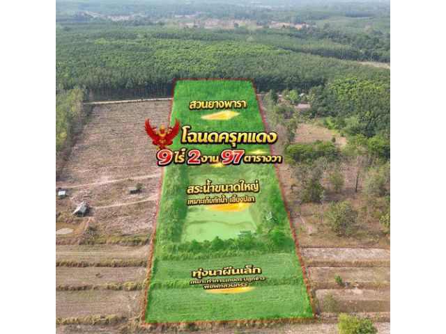 1.75 ล้าน ได้ที่ดิน 9 ไร่ มีรายได้ทันที!