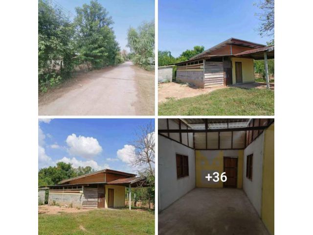 !!!!บ้านเดี่ยวโฉนด1ไร่52ตรว.590,000ต.ใหม่ อ.โนนสูง นครราชสีมา
