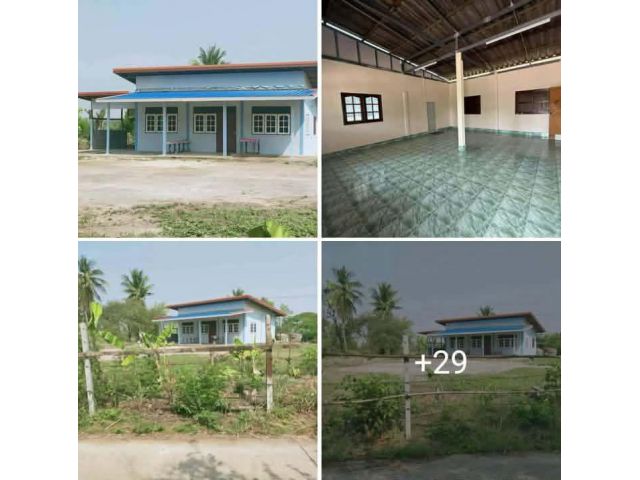 !!!!บ้านเดี่ยวใกล้ต้นตาลรีสอร์ท155ตรว.1.35ลบ.