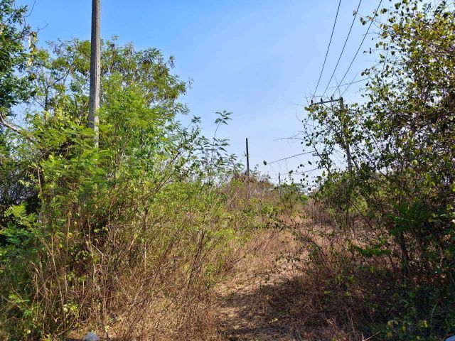 ขายที่ดินเปล่า หัวหิน ใกล้ Black Mountain