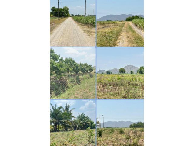 ที่ดิน แนวสวน วิวเขา