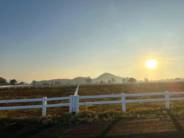 ขายที่ดินสวยคลองม่วง