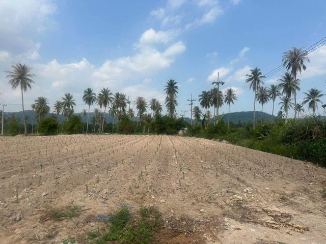 L865 ขายที่ดินวิวภูเขา 20 ไร่ ศรีราชา ชลบุรี