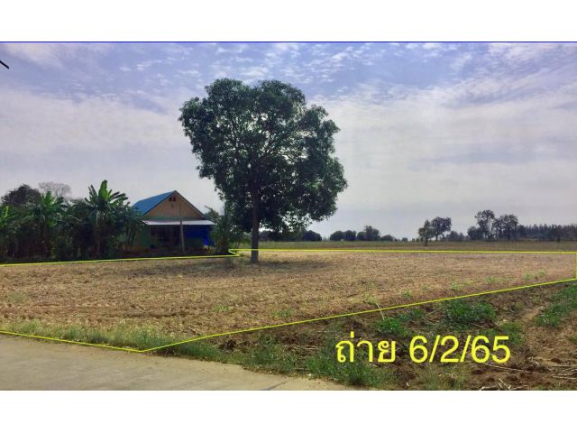ขายที่ดิน ด่านขุนทด โคราช