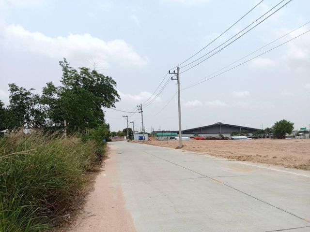 ขายที่ดินบึง 5 ไร่ ชุมชนตลาดข๊ง ติดถนนคอนกรีต ใกล้นิคมปิ่นทอง1-10กม. อ.ศรีราชา จ.ชลบุรี