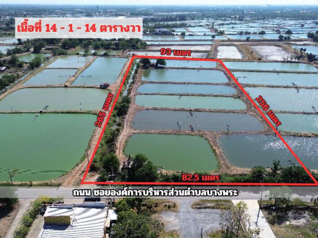 ขาย ที่ดิน อบต.บางพระ ฉะเชิงเทรา ใกล้ วัดโสธรวรารามวรวิหาร 14-1-14 ไร่ (แบ่งขายได้)#ขายที่ ฉะเชิงเทรา #ที่ดิน แปดริ้ว #ที่ดินบางพระฉะเชิงเทรา