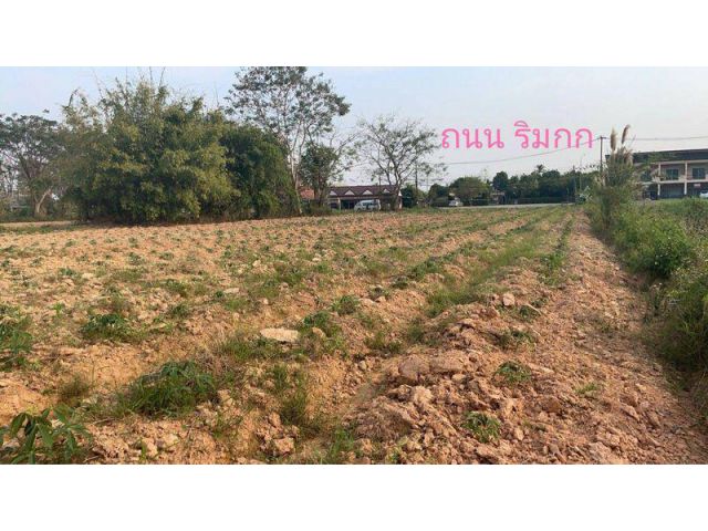 ที่ดิน 3-1-55 ไร่ ใกล้สนามบินแม่ฟ้าหลวง ถนนริมกก ตำบลริมกก อำเภอเมืองเชียงราย จังหวัดเชียงราย