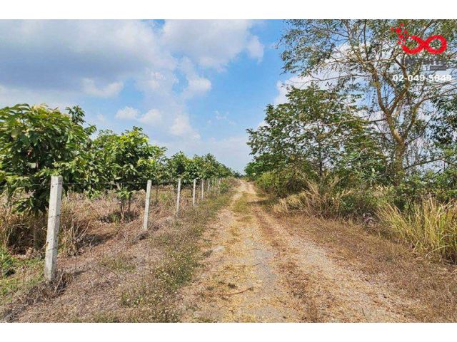 ขายที่ดิน 367 ตร.วา คลอง 23 องครักษ์ นครนายก
