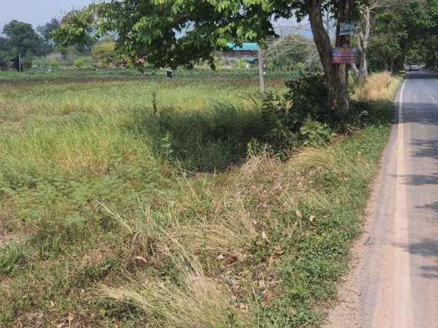 ที่ดินขายด่วนๆๆๆ รีบใช้เงิน ตืดถนนลาดยาง เหมาะสร้างบ้าน ค้าขาย อื่นๆ