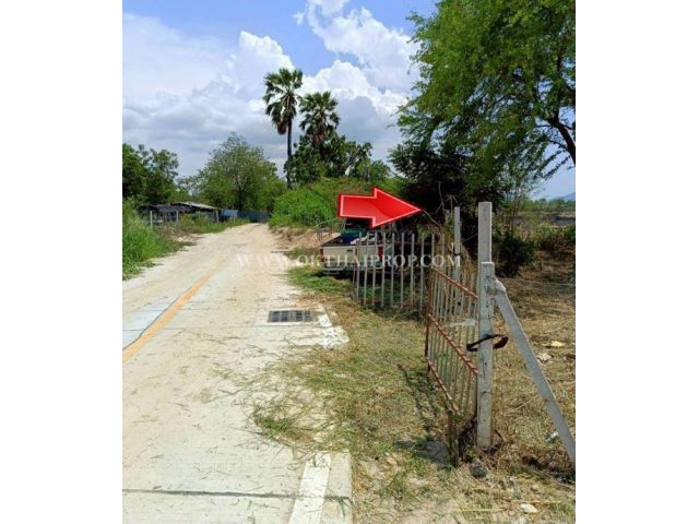 ที่ดินพานทองใกล้ดูโฮม ถ.ศุขประยูร ต.หนองตำลึง อ.พานทอง จ.ชลบุรี